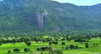 Xách tay hàng hóa từ An Giang đi Nga