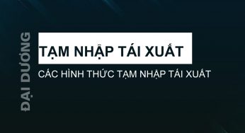 Thủ tục hải quan cho hàng tạm nhập tái xuất