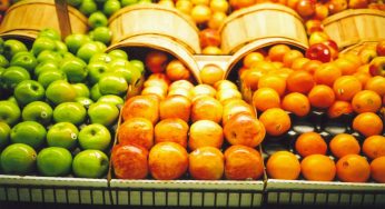 Vận chuyển trái cây từ Hải Phòng đi Nga giá rẻ nhất