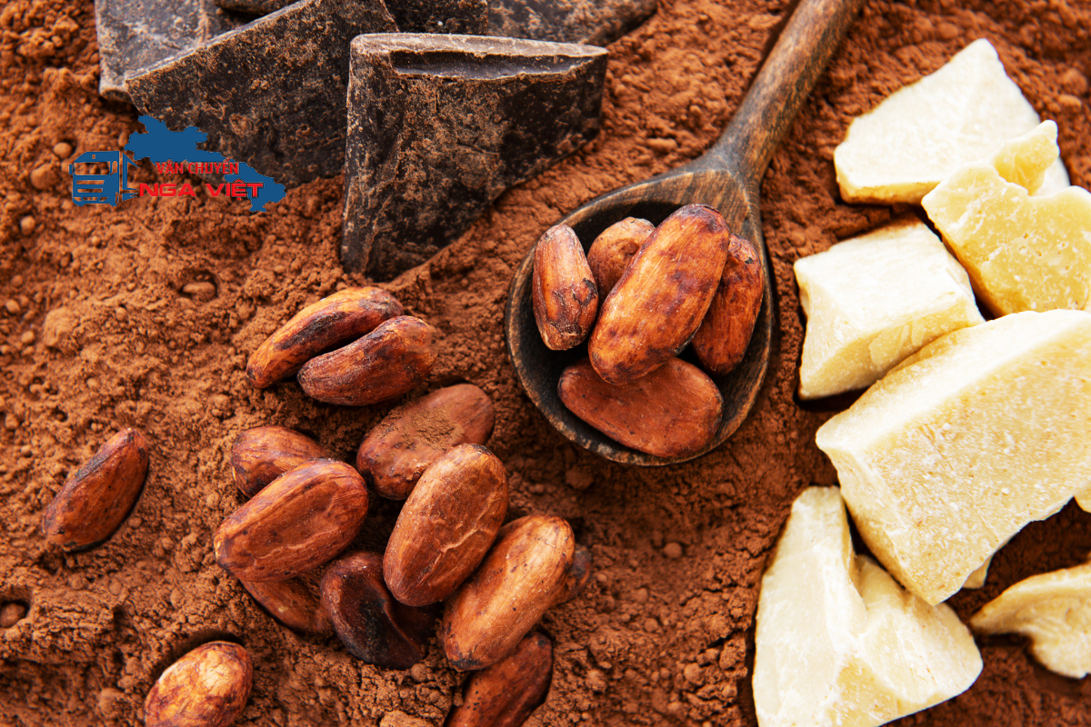 Dịch vụ vận chuyển bột Cacao từ Hà Nội sang Nga