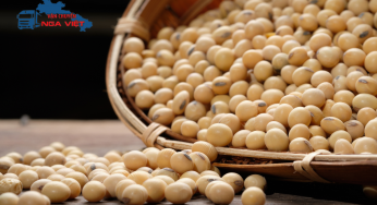 Gửi hạt đậu nành sấy từ Hà Nội đi Nga nhanh chóng, giá ưu đãi