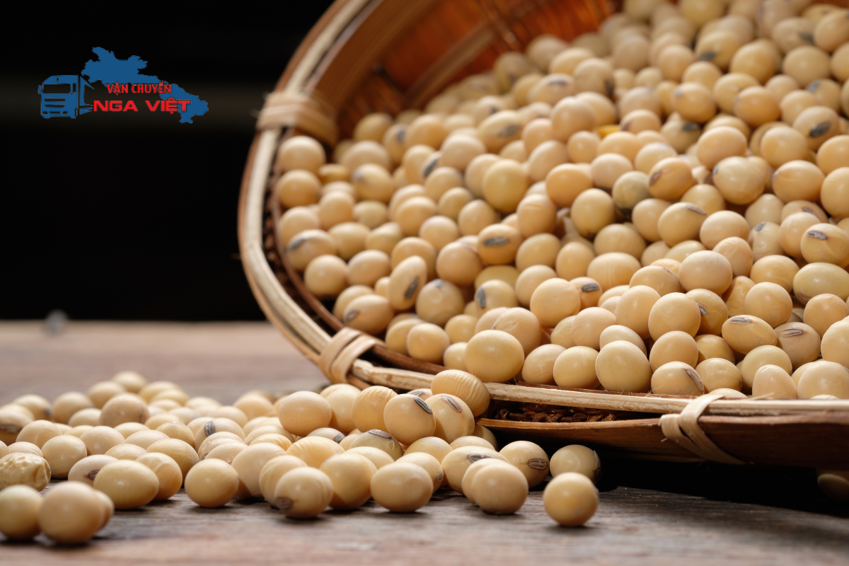 Gửi hạt đậu nành sấy từ Hà Nội đi Nga nhanh chóng, giá ưu đãi