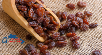 Dịch vụ vận chuyển nho khô từ Việt Nam sang Nga
